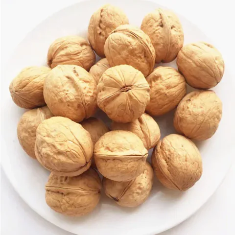 Walnuts in shell